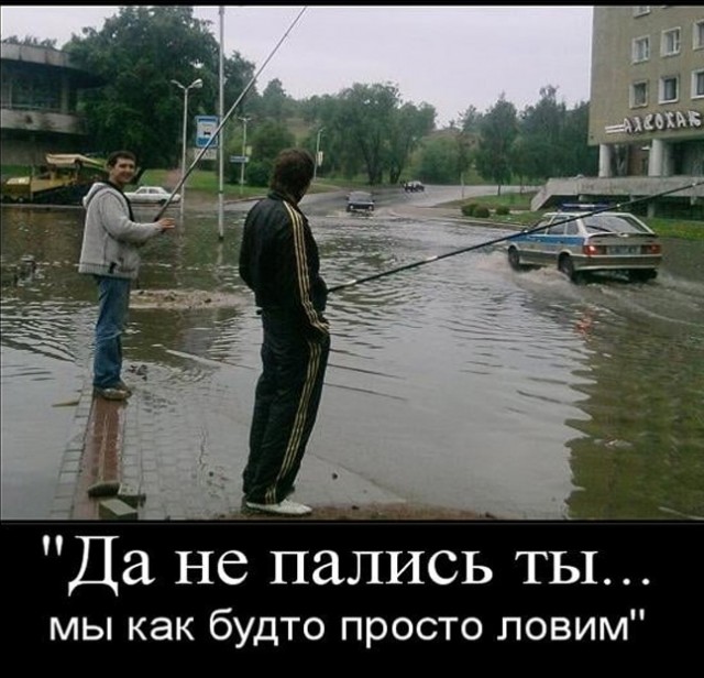 Так себе картинки 11.04.23