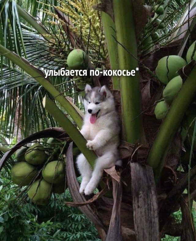 Немного картинок для настроения - 165