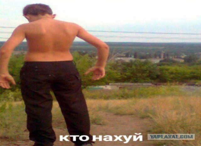 В Москве и Московской области ввели режим КТО