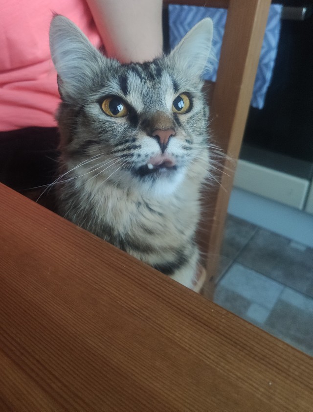 Вот вам