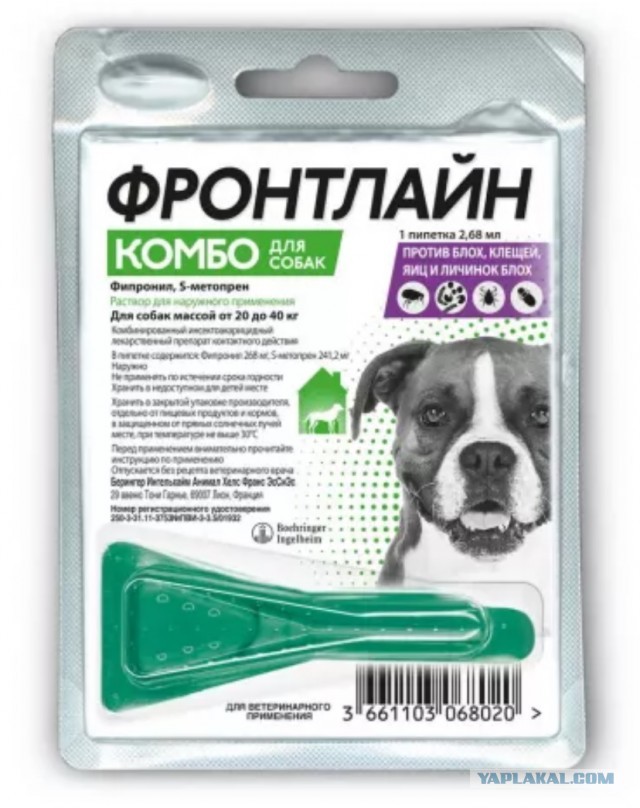 Всё-таки четверг
