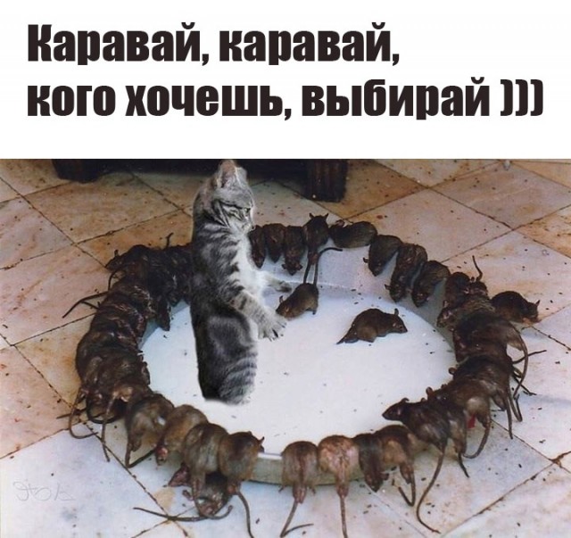 Так себе картинки 12.08.23