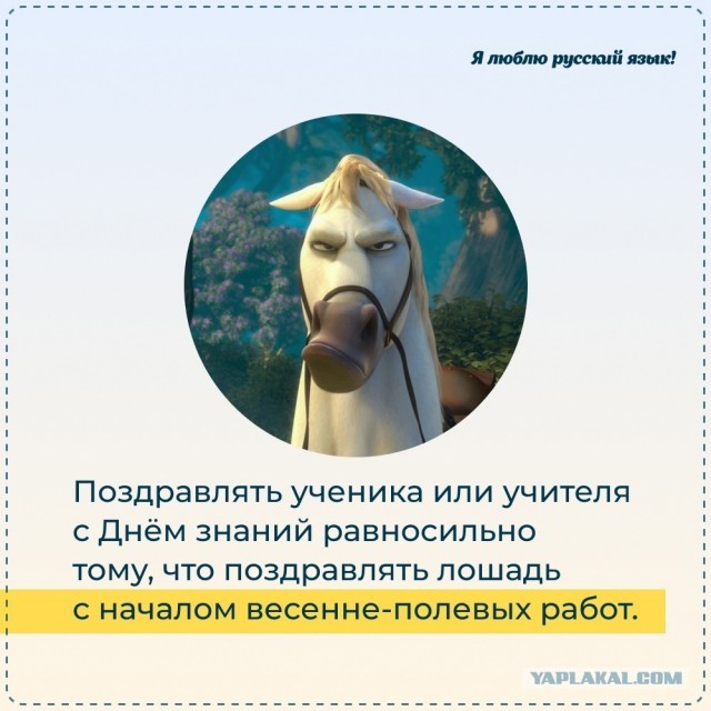 Откуда берутся женоненавистники