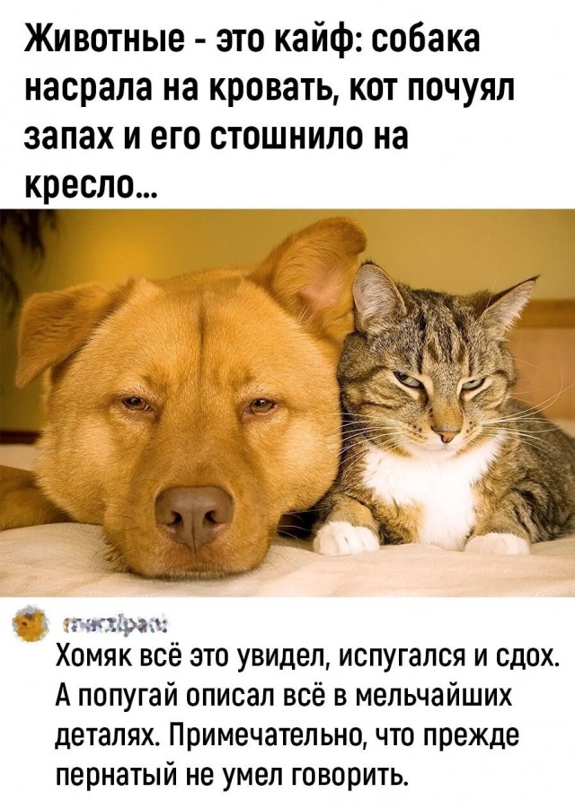 Рязань - Сасово из кабины машиниста