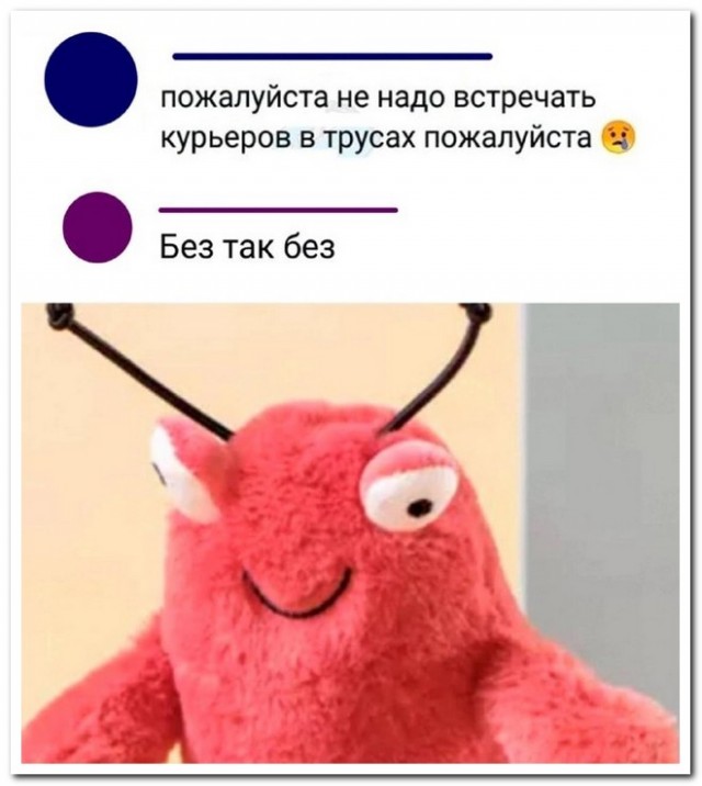 Забавные комментарии из социальных сетей (04.12.23)