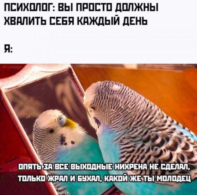 От финансов до здоровья: полезные советы на все случаи жизни