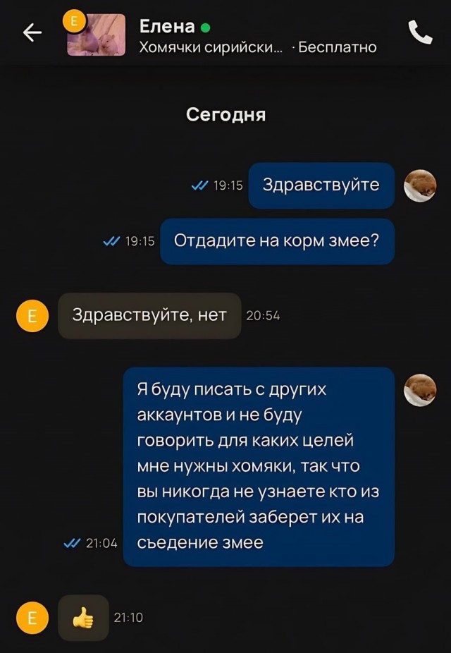 Картинок разной степени еб@нутости пост.