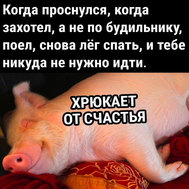 Так себе картинки 31.12.23