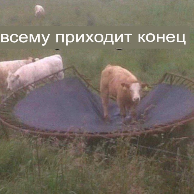 Почти обычная поездка на велосипеде