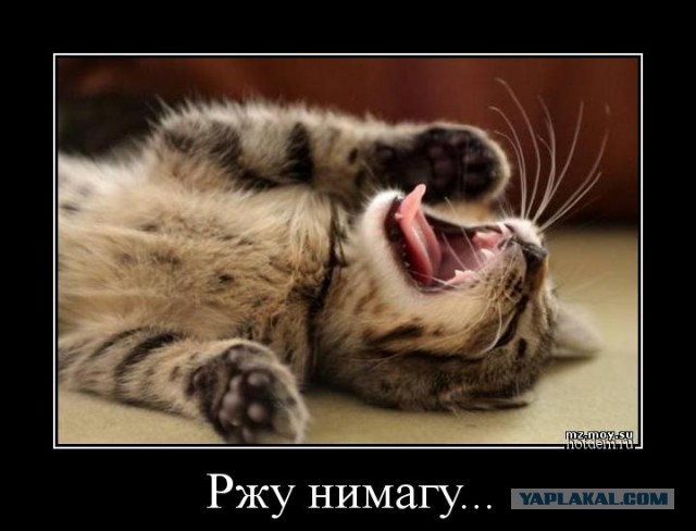Маленькие все хорошенькие