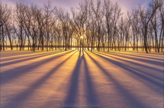 ФотоВинегрет