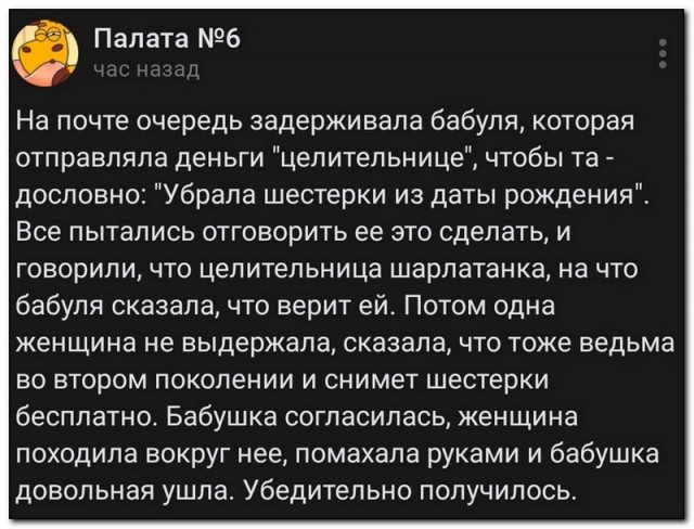 Забавные комментарии из социальных сетей (06.05.24)