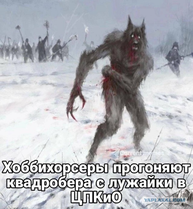 В России предложили запретить квадроберов