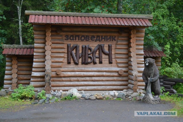 Автопутешествие в Териберку длиной в 8000 км