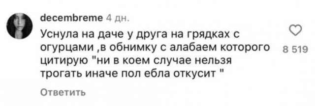 Парень попросил комментаторов рассказать самые трэшовые истории, которые с ними происходили в пьяном угаре, чтобы ему было не так стыдно.