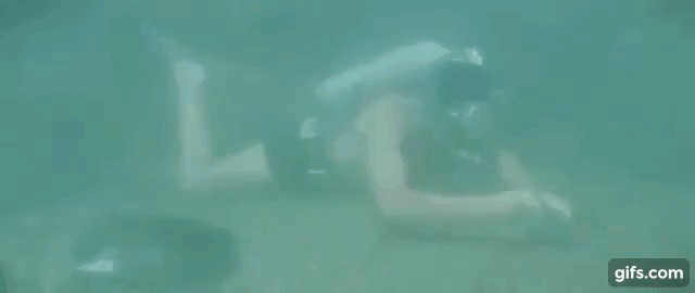 Щучья икра