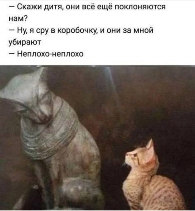 Картинки от 23.02.2025