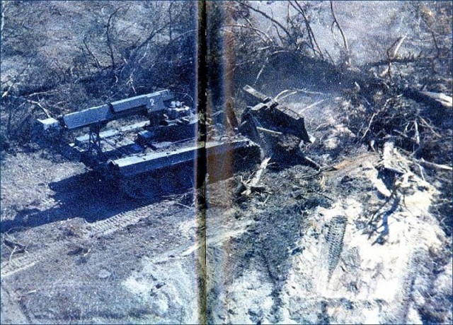 Чем закончился эксперимент по облучению леса цезием-137 в США⁠⁠