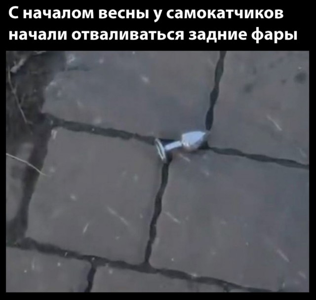 Гнездо параноика (Бояны)
