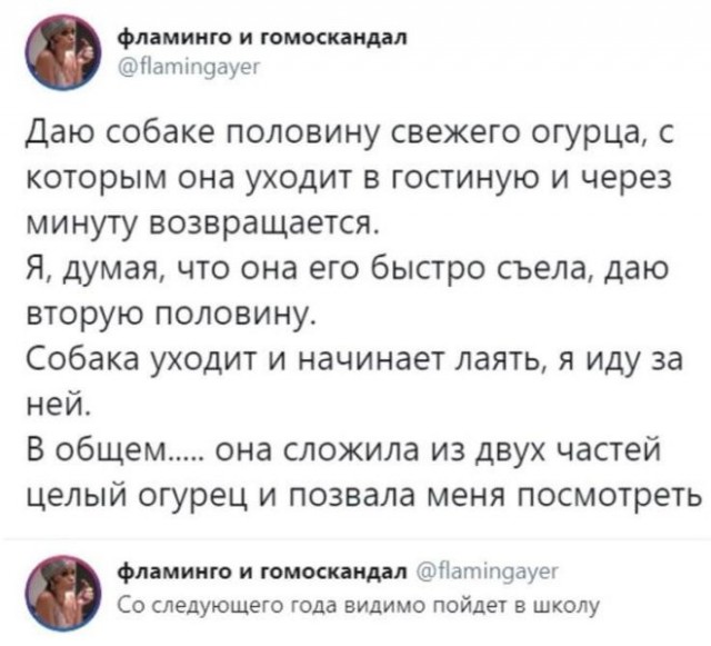 Веселые картинки в пятницу 25.02