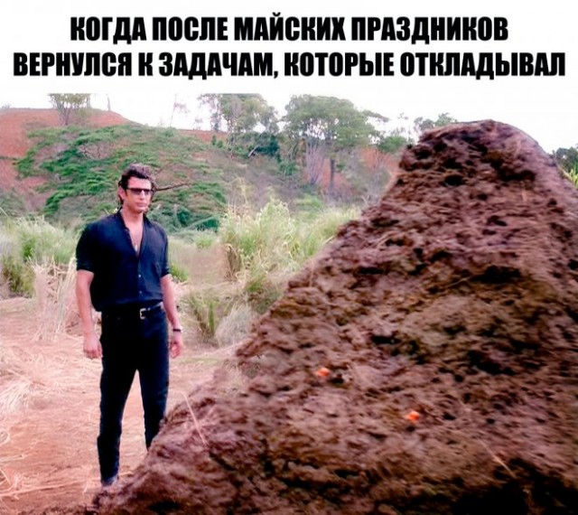 Веселые картинки в понедельник (12.05)