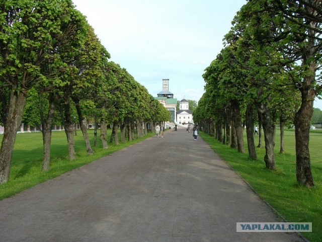 Кусково 15.05.2025