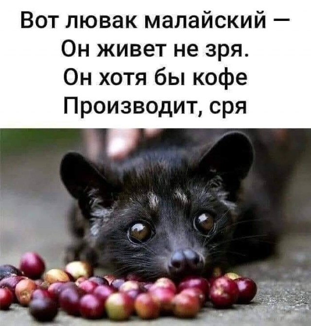 Маленькая пятница 11.06