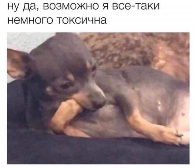 Веселое настроение в картинках (30.07.2025)