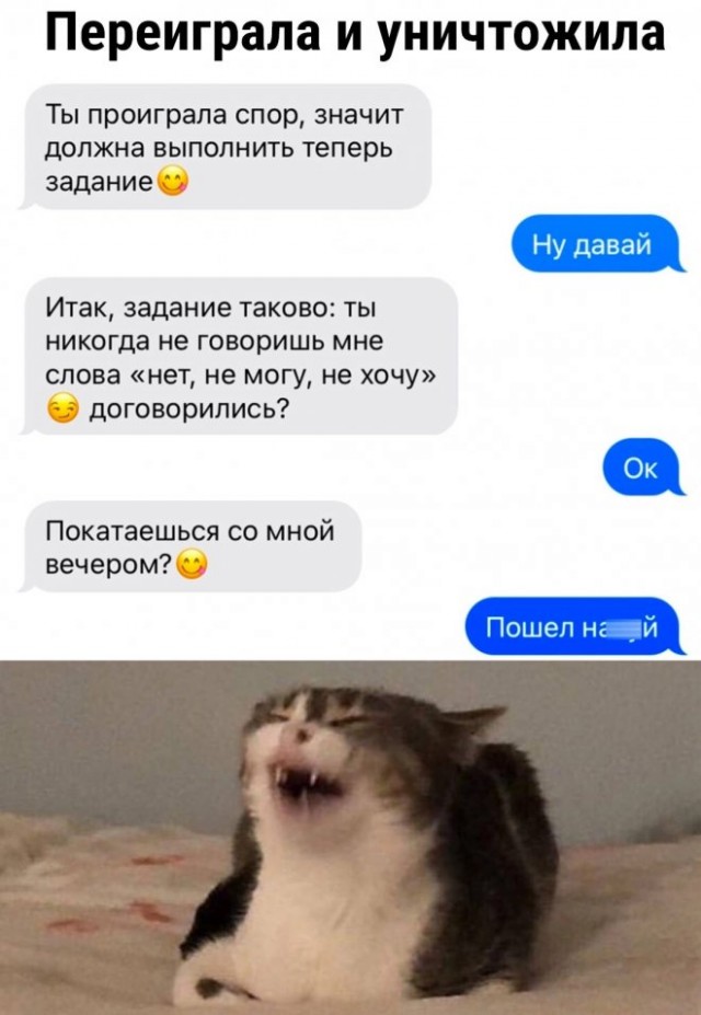 Веселые картинки в пятницу (01.08)