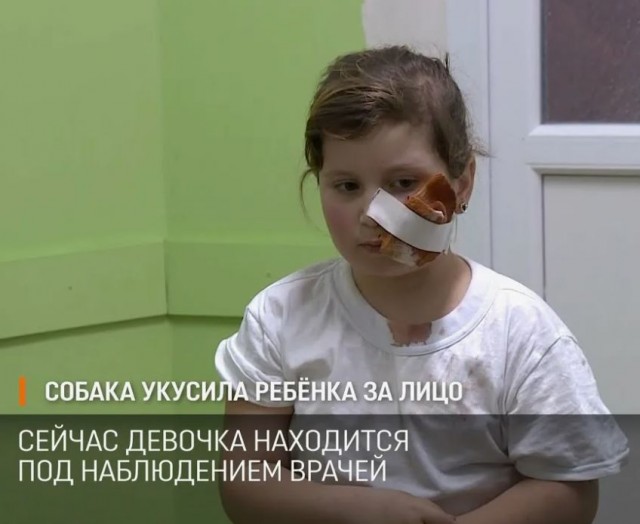 Пенсионерка устроила скандал из-за собаки
