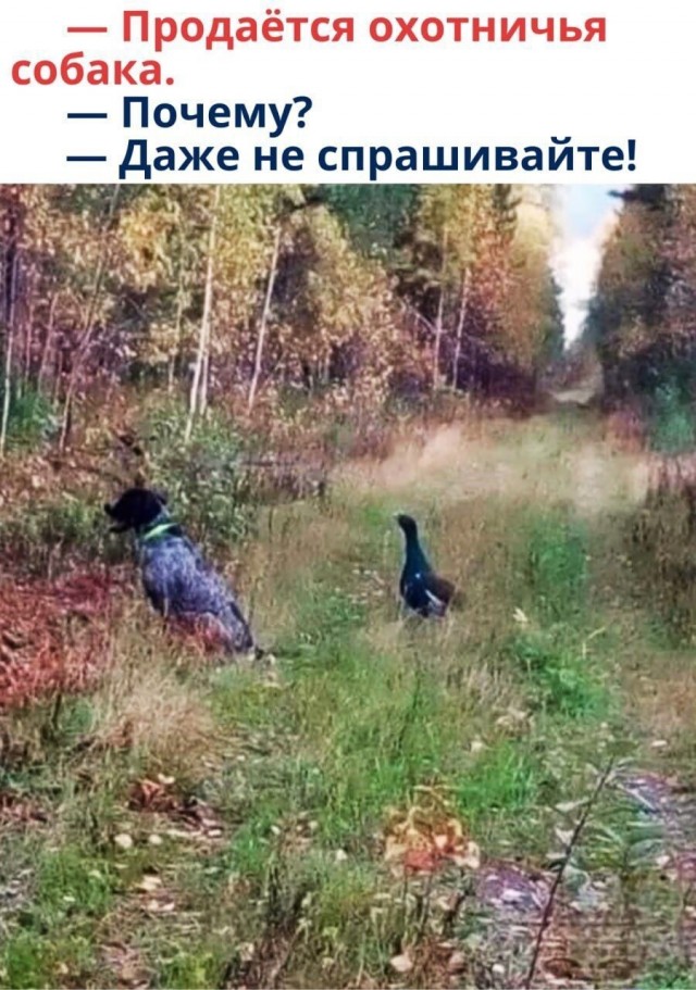 Так себе картинки 08.09.25