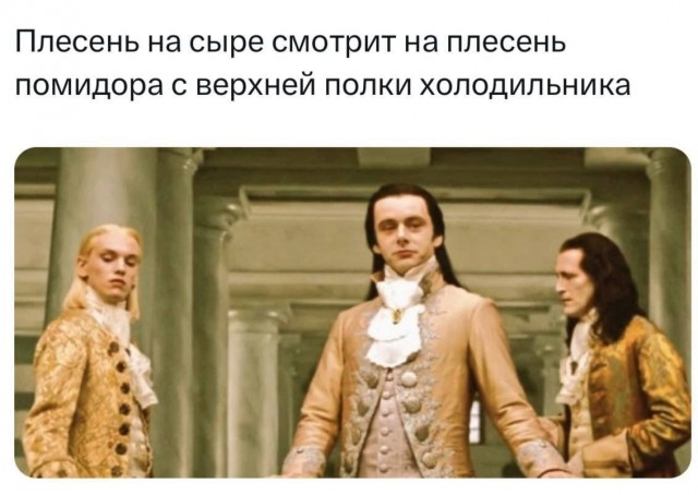 Картинки для деградации 40 (разной степени свежести)