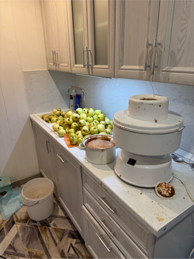 Яблочное производство