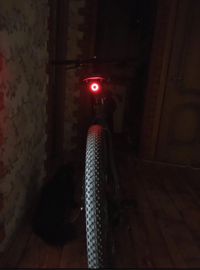 Черные уши, желтые глаза.