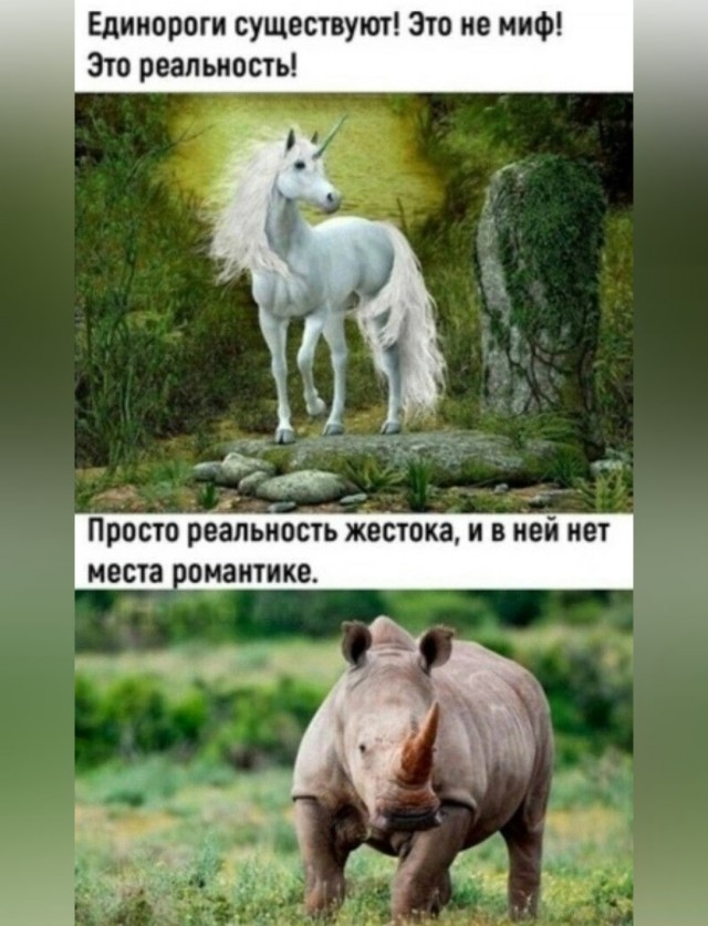 Картинки для деградации 97 (разной степени свежести)