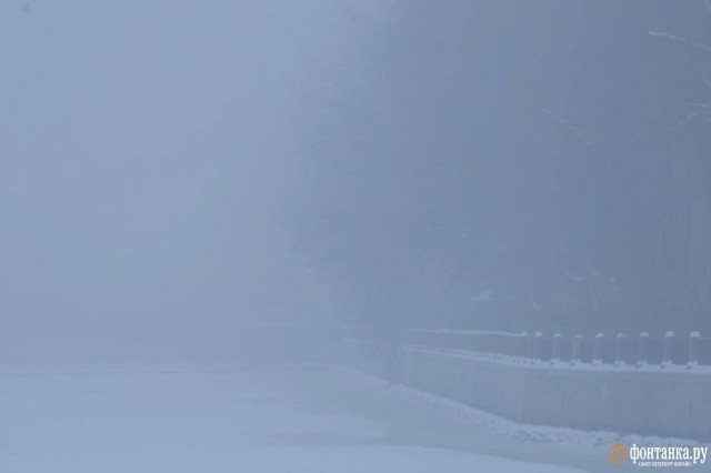 Молочный Питер