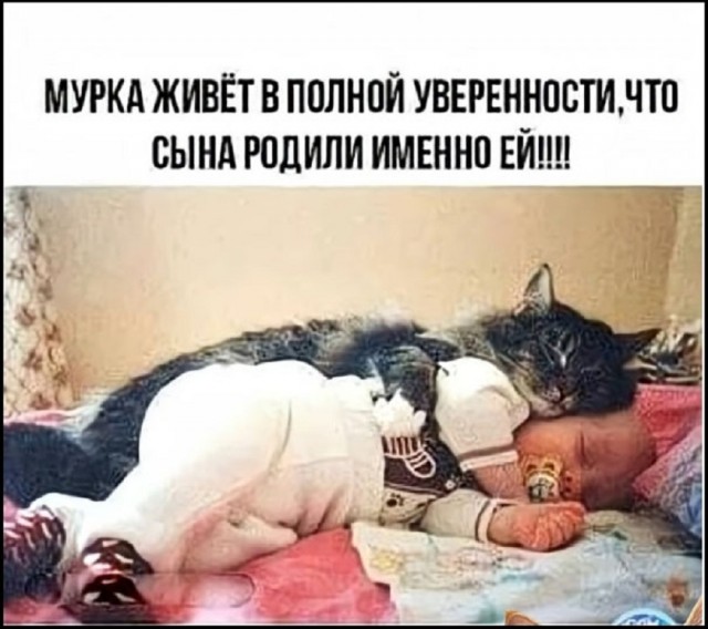 Так себе картинки 22.02.26