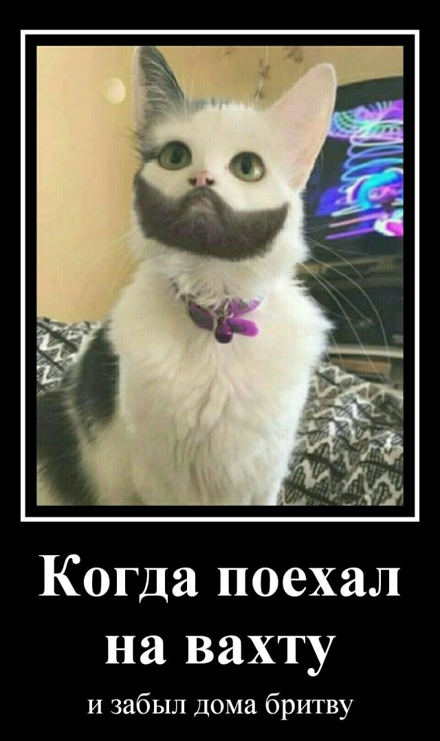 Один день на вахте