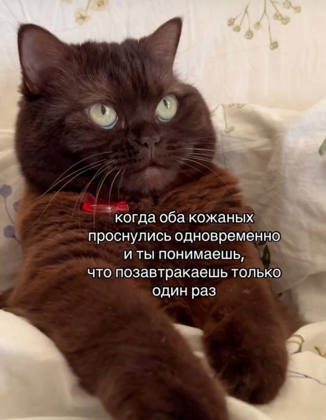 Картинки для настроения