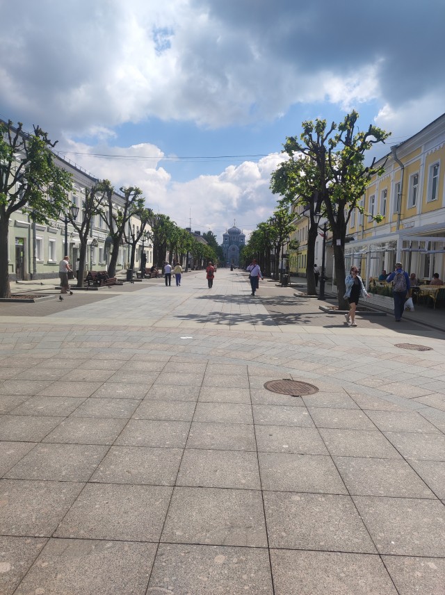 Гнездо под охраной.