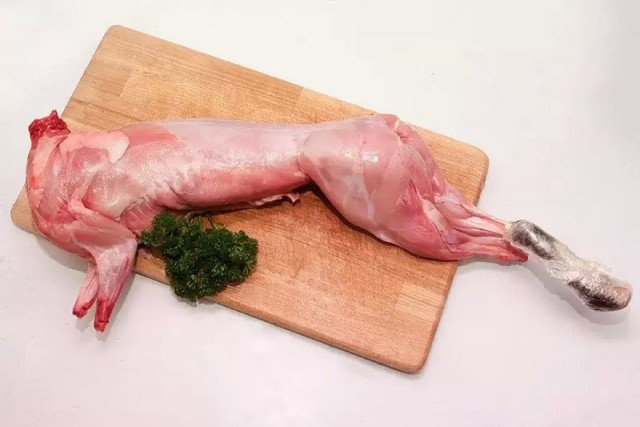 Кролик, не только ценный мех, но и жизнь