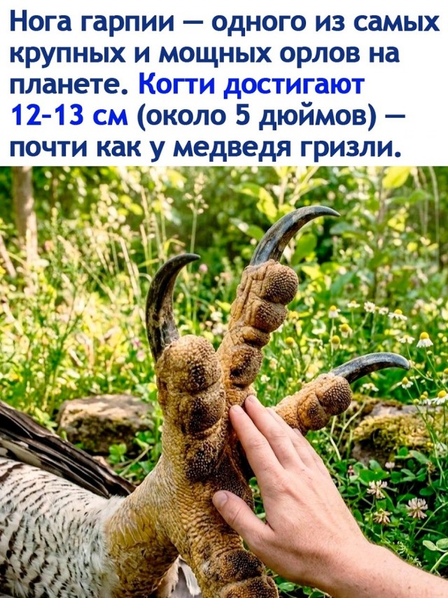 Так себе картинки 18.07.26