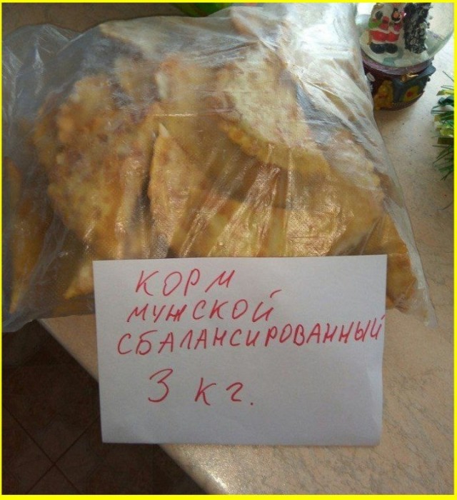 Веселые картинки в пятницу (31.07)