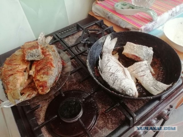 Просто поделился сегодняшним прекрасным утром на Черном море под Анапой