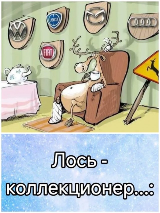 В шафутинов день, но без него
