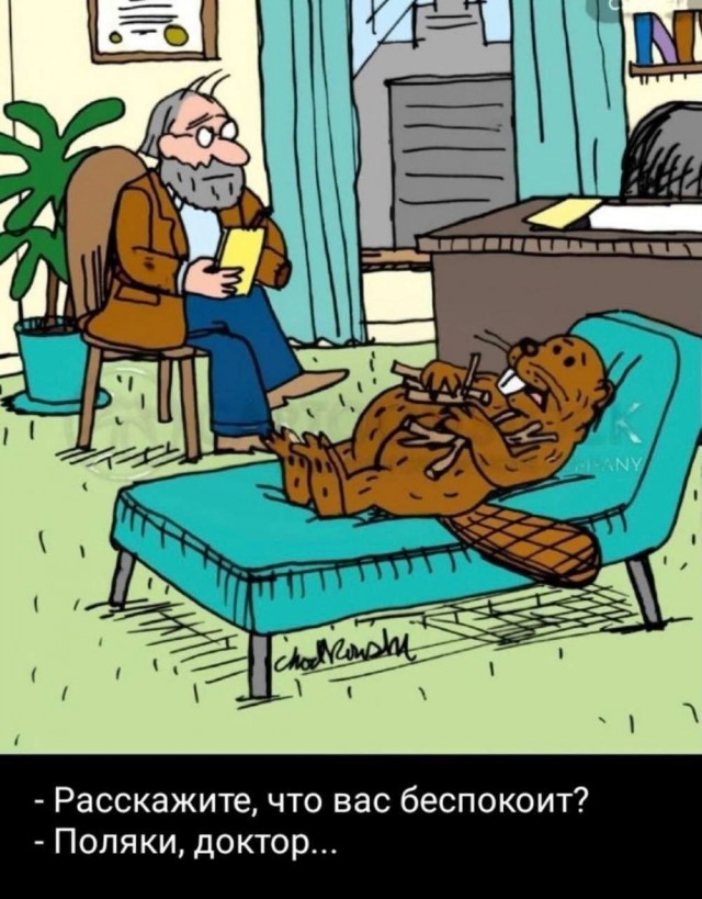 Картинки для деградации 285 (разной степени свежести)