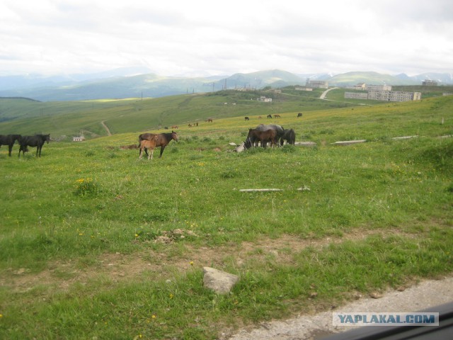 Карачаево-Черкессия
