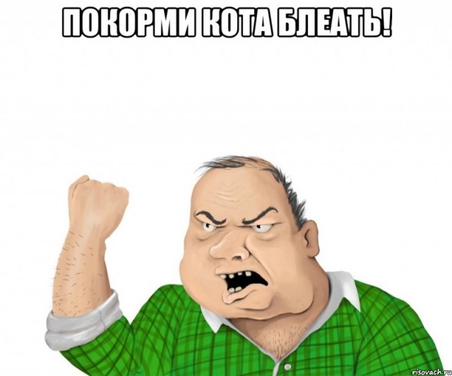 Стоило однажды угостить через окно сосиской