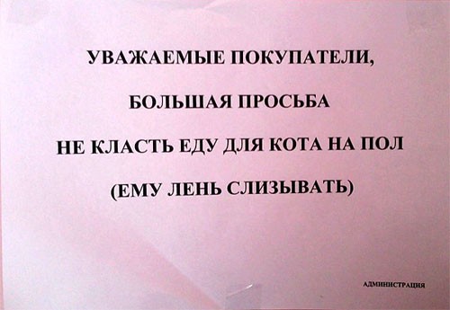 Эти коты уже совсем обленились!