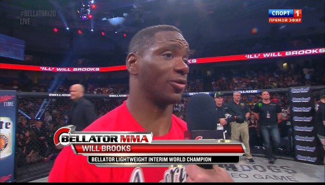 БОКС/MMA....